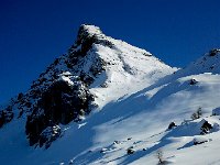 2014-02-23 11.00.55  23 Feb - Savolaires